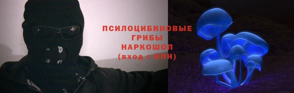 сатива Абдулино